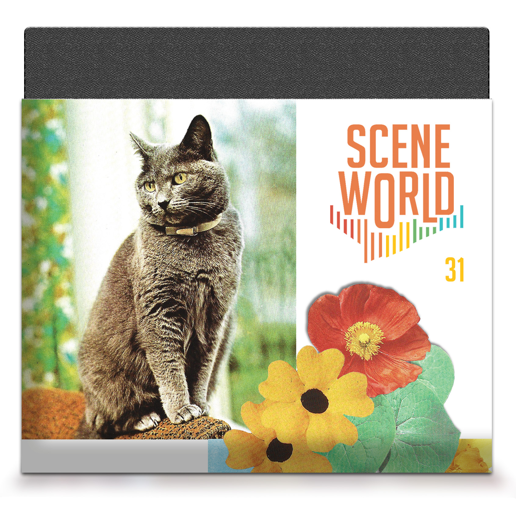 Scene World #31 Diskcover